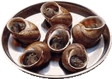 Some snails