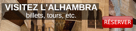 Visites guidées de la Alhambra
