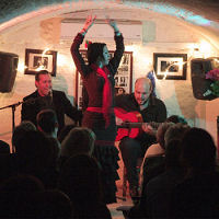 flamenco shows in granada