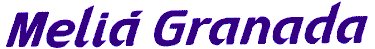 Hotel Melia Granada